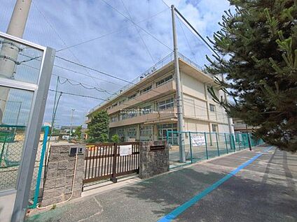 市川市立冨貴島小学校 500m(徒歩7分)