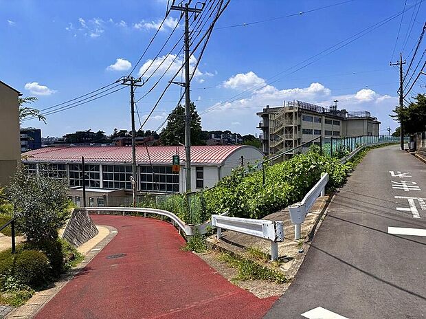 松戸市立殿平賀小学校(約250m)
