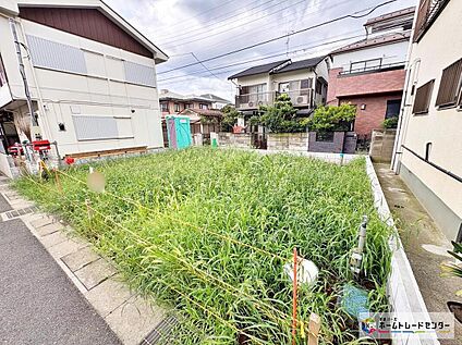 現地写真