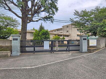 松戸市立第二中学校 1000m (徒歩13分)