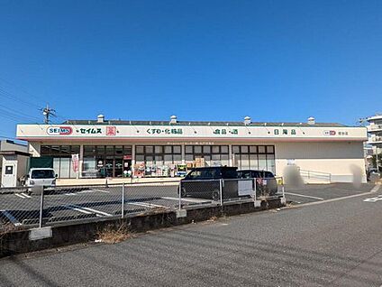 ドラッグセイムス稔台店 800m(徒歩10分)