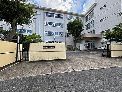 松戸市立第三中学校 950m(徒歩12分)