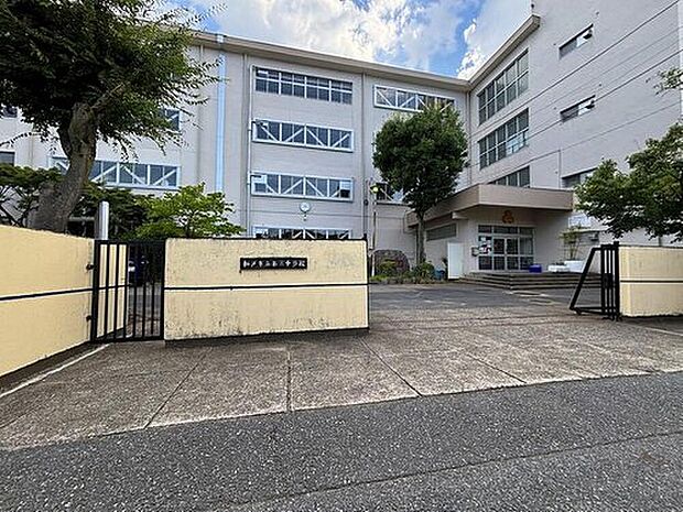 松戸市立第三中学校（約950m）