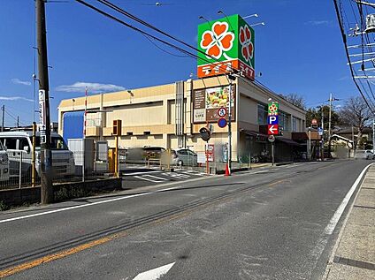 ライフ市川国分店 567ｍ(徒歩8分)