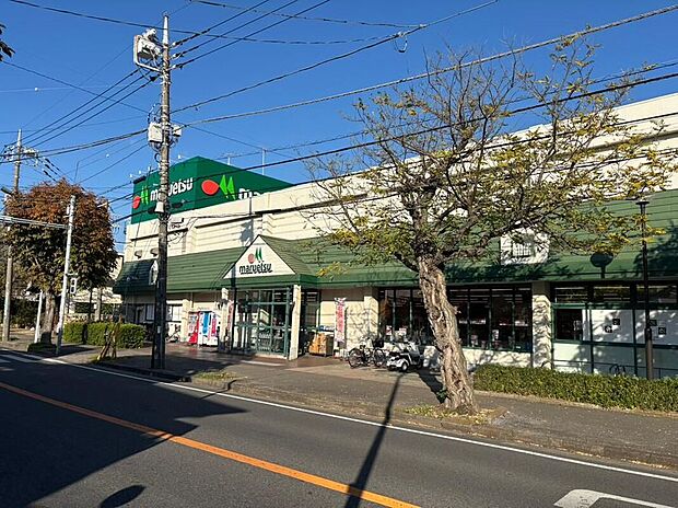 マルエツ小金原店(約450m)