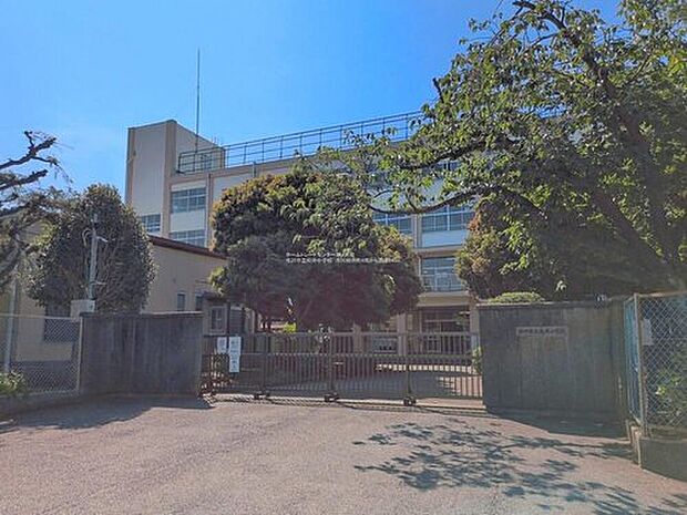 市川市立柏井小学校(約650m)