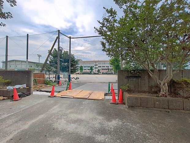 市川市立百合台小学校(約900m)