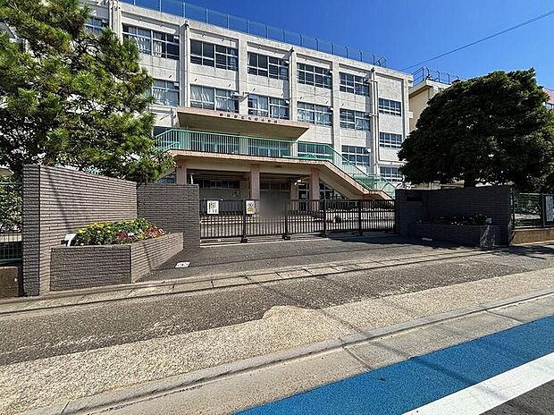 市川市立大野小学校(約400m)