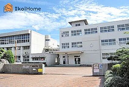 江井島小学校 徒歩521m