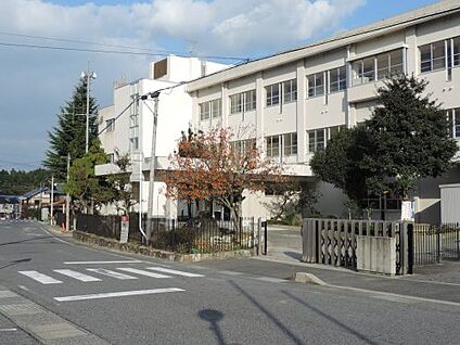 栗東市立金勝小学校 徒歩226m
