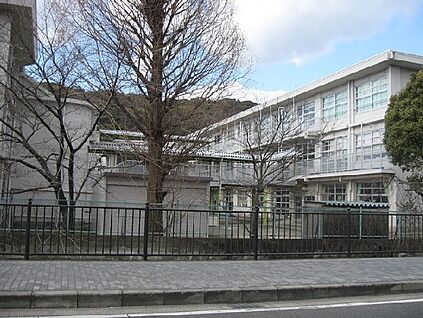 八幡市立八幡小学校 徒歩1500m