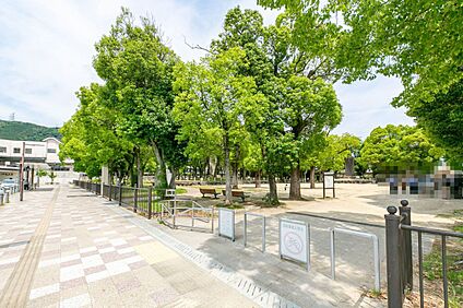 くすのき公園 300m
