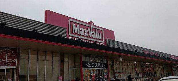 マックスバリュ龍野店