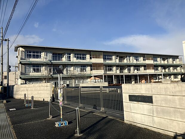 駒寄小学校(約1m)