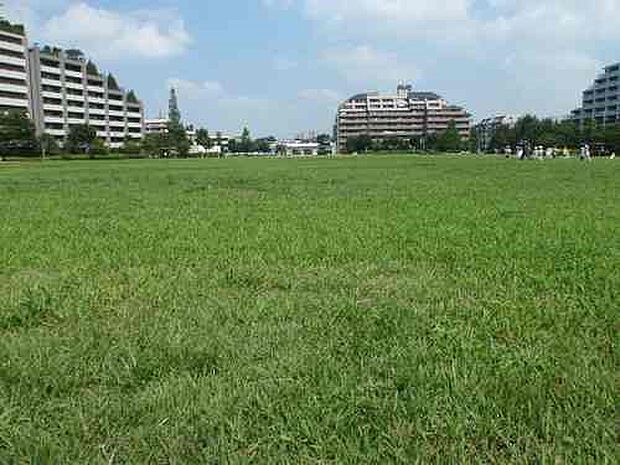原っぱ公園(原っぱ公園まで260m 徒歩4分。)
