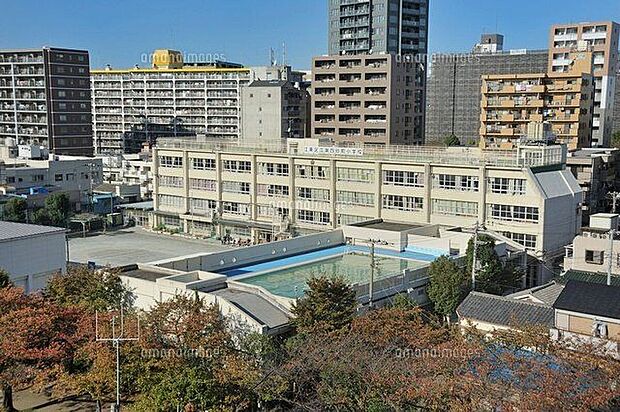 江東区立第四砂町中学校(約1,330m)