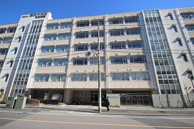 墨田区立墨田中学校(約510m)