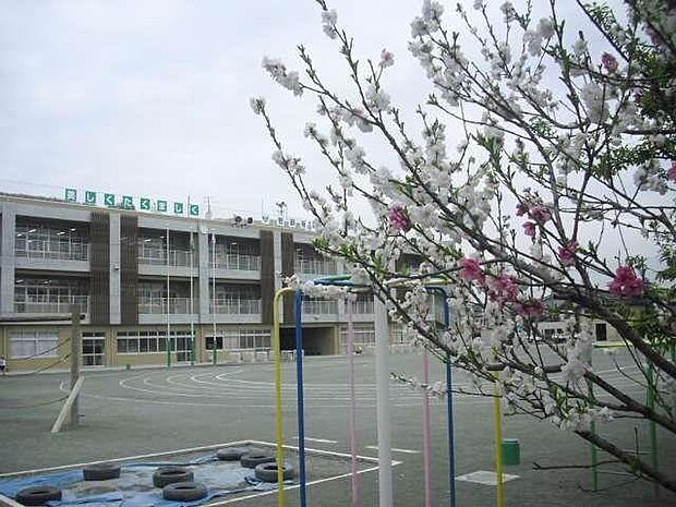 世田谷区立給田小学校(約790m・徒歩10分)