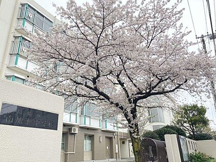 川崎市立南加瀬中学校 410m
