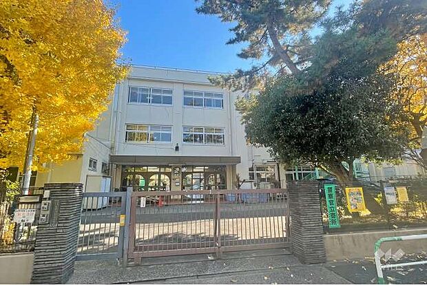 北区立滝野川第五小学校(約300m)