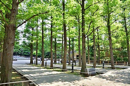 東池袋中央公園 1660m