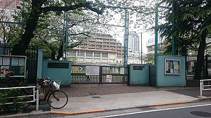 渋谷区立臨川小学校 300m