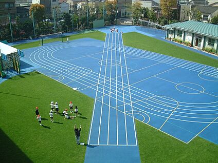 墨田区立曳舟小学校 242m