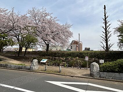 亀戸九丁目緑道公園ポケットエコスペース 566m(8分)