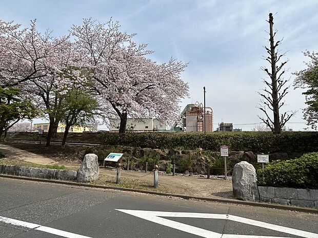亀戸九丁目緑道公園ポケットエコスペース(約566m・徒歩8分)