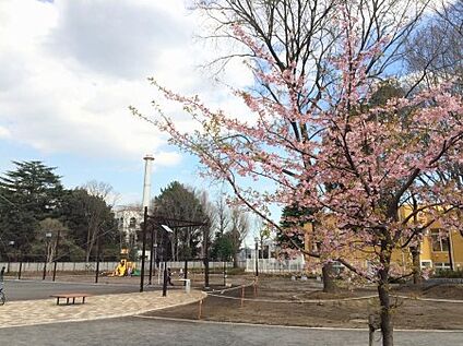 世田谷区立下馬中央公園 300m