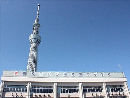 墨田区立業平小学校 500m