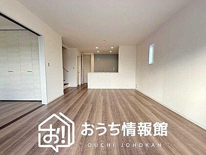 現地写真（リビング）