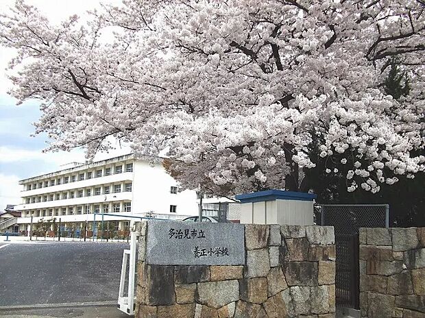 多治見市立養正小学校（約500m）