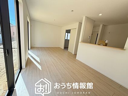 現地写真(リビング)