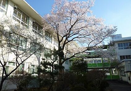 可児市立西可児中学校 1000ｍ(徒歩13分)