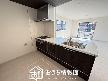現地写真(キッチン)