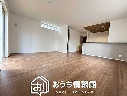 現地写真(リビング)