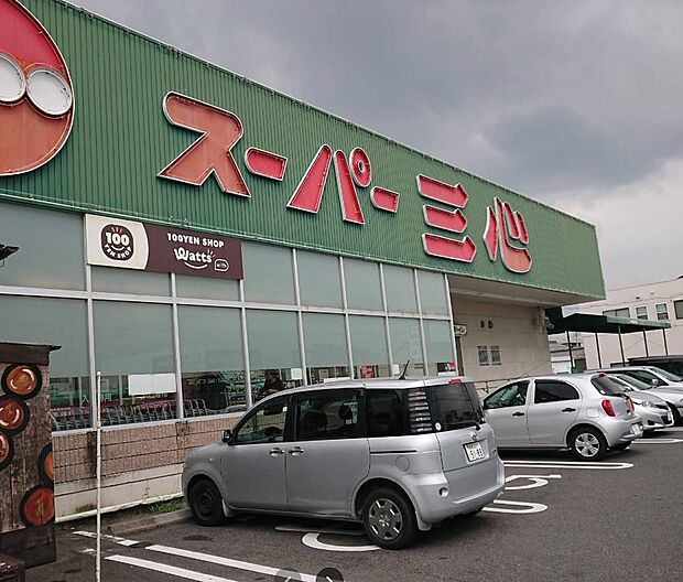 スーパー三心那加店（約1,300m）