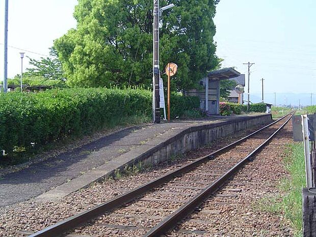 樽見鉄道「十九条駅」（約720m）