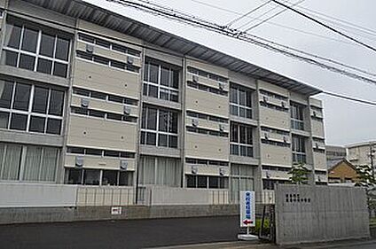 岐阜市立岐阜中央中学校 980ｍ(徒歩13分)