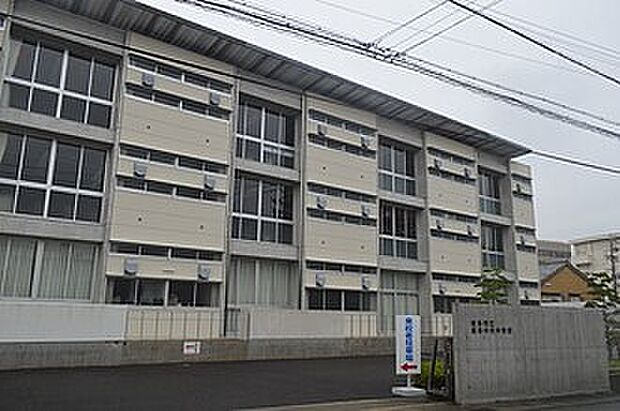 岐阜市立岐阜中央中学校（約980m）