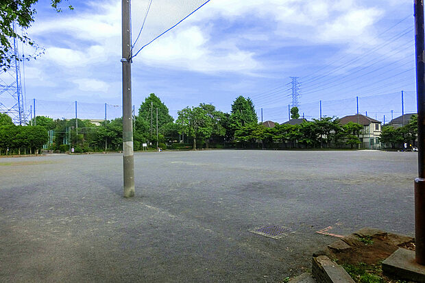 深大寺公園（約700m）