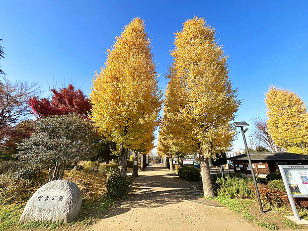 窪東公園（約400m）