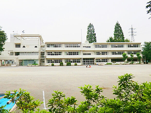 西東京市立柳沢小学校(約290m)