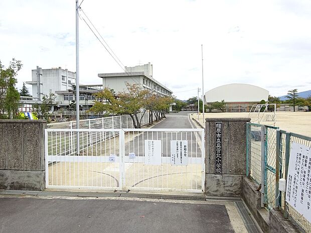 真菅北小学校(約800m)