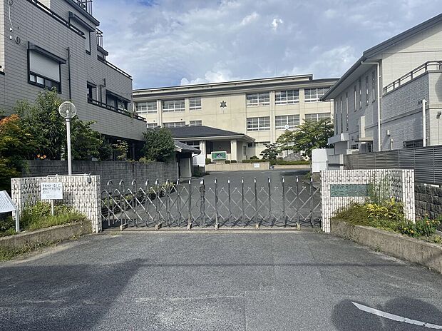 桜井市立大三輪中学校(約2,699m)