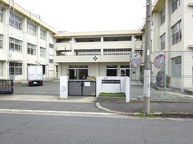 橿原市立金橋小学校（約971m）