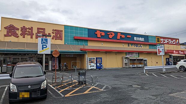ヤマトー 桜井南店(約785m)