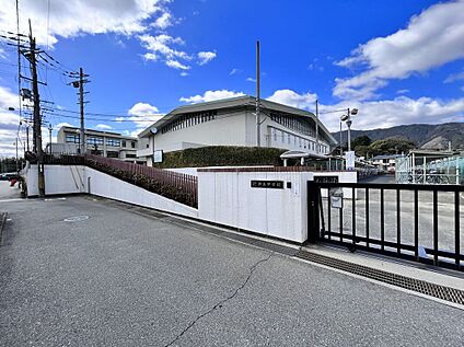 葛城市立新庄中学校 1384ｍ