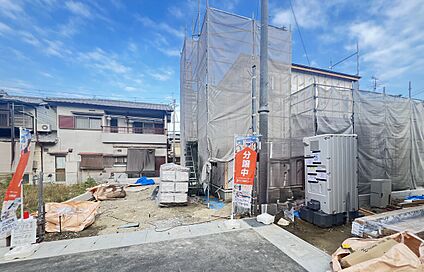 1号地